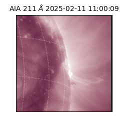 saia - 2025-02-11T11:00:09.626000