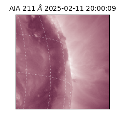 saia - 2025-02-11T20:00:09.626000