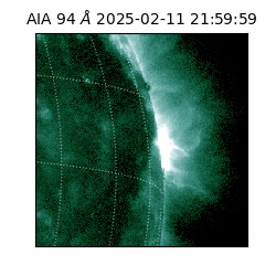 saia - 2025-02-11T21:59:59.122000