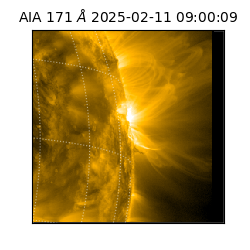 saia - 2025-02-11T09:00:09.350000