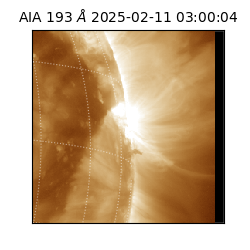 saia - 2025-02-11T03:00:04.843000