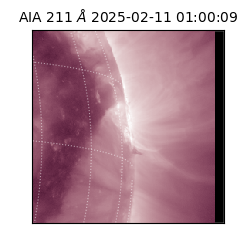 saia - 2025-02-11T01:00:09.626000