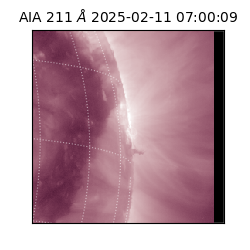saia - 2025-02-11T07:00:09.626000