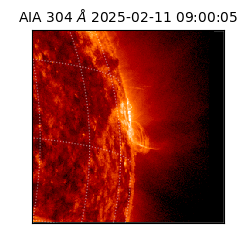 saia - 2025-02-11T09:00:05.130000