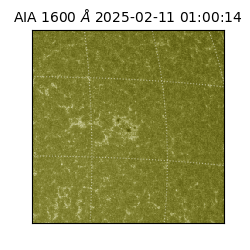 saia - 2025-02-11T01:00:14.125000