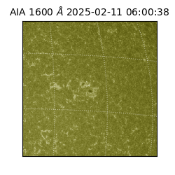 saia - 2025-02-11T06:00:38.125000