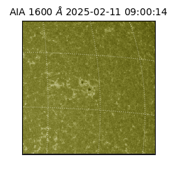 saia - 2025-02-11T09:00:14.126000