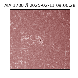 saia - 2025-02-11T09:00:28.717000