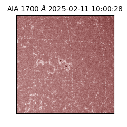 saia - 2025-02-11T10:00:28.745000