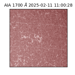 saia - 2025-02-11T11:00:28.722000