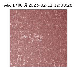 saia - 2025-02-11T12:00:28.718000