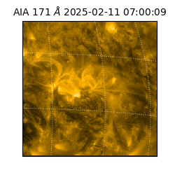 saia - 2025-02-11T07:00:09.350000