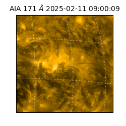saia - 2025-02-11T09:00:09.350000