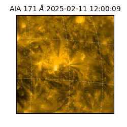 saia - 2025-02-11T12:00:09.350000