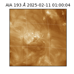 saia - 2025-02-11T01:00:04.843000