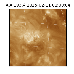 saia - 2025-02-11T02:00:04.843000