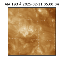 saia - 2025-02-11T05:00:04.843000