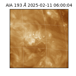 saia - 2025-02-11T06:00:04.843000