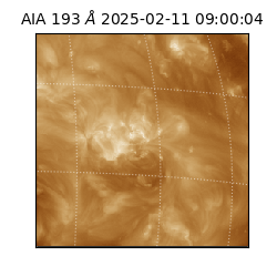 saia - 2025-02-11T09:00:04.843000