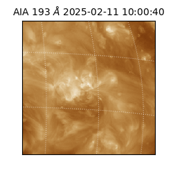saia - 2025-02-11T10:00:40.843000