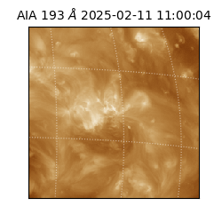 saia - 2025-02-11T11:00:04.843000