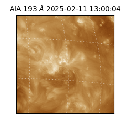 saia - 2025-02-11T13:00:04.836000