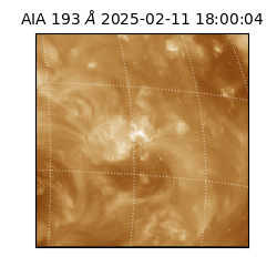 saia - 2025-02-11T18:00:04.843000