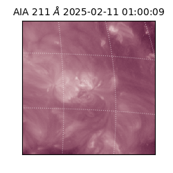 saia - 2025-02-11T01:00:09.626000
