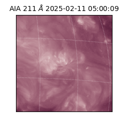 saia - 2025-02-11T05:00:09.630000