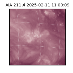 saia - 2025-02-11T11:00:09.626000