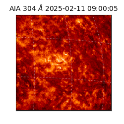 saia - 2025-02-11T09:00:05.130000