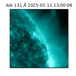 saia - 2025-02-11T13:00:06.616000