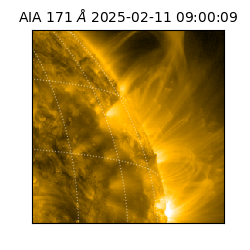 saia - 2025-02-11T09:00:09.350000