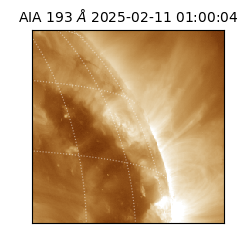 saia - 2025-02-11T01:00:04.843000