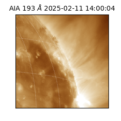 saia - 2025-02-11T14:00:04.843000