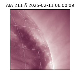 saia - 2025-02-11T06:00:09.626000