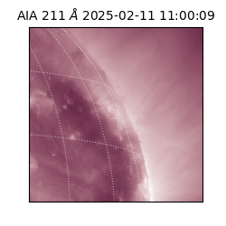 saia - 2025-02-11T11:00:09.626000