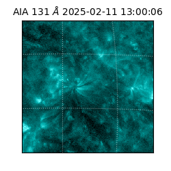 saia - 2025-02-11T13:00:06.616000