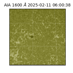 saia - 2025-02-11T06:00:38.125000