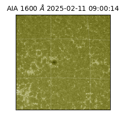 saia - 2025-02-11T09:00:14.126000