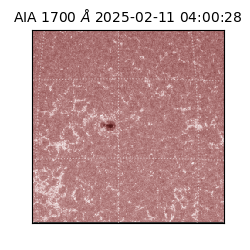 saia - 2025-02-11T04:00:28.717000