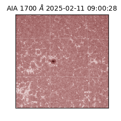 saia - 2025-02-11T09:00:28.717000