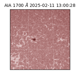 saia - 2025-02-11T13:00:28.718000