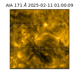 saia - 2025-02-11T01:00:09.350000