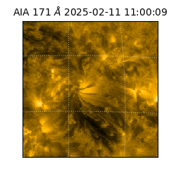 saia - 2025-02-11T11:00:09.350000