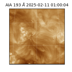 saia - 2025-02-11T01:00:04.843000