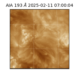 saia - 2025-02-11T07:00:04.843000