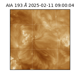 saia - 2025-02-11T09:00:04.843000