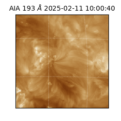 saia - 2025-02-11T10:00:40.843000