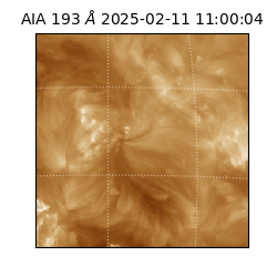 saia - 2025-02-11T11:00:04.843000